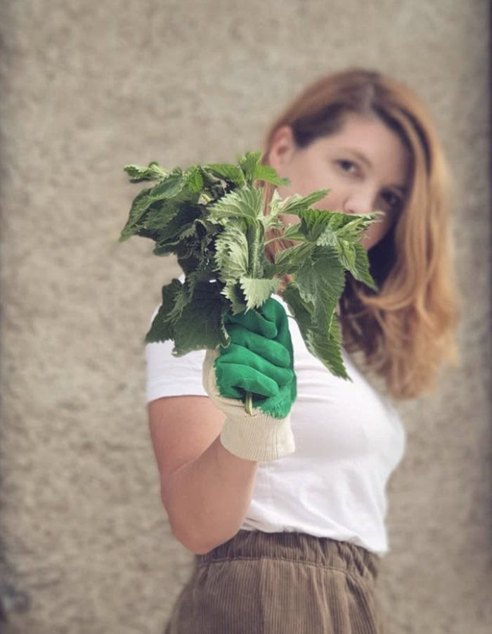 nettles