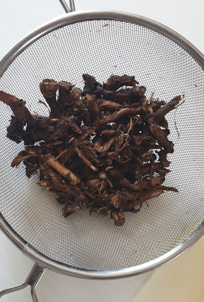 dandelion root